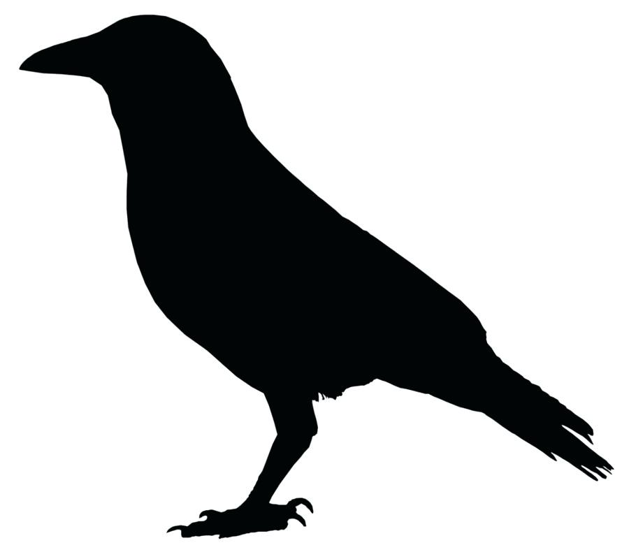 Flying Crow Drawing | Free download on ClipArtMag