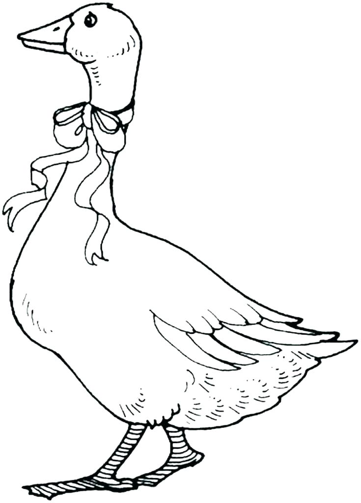 Flying Goose Drawing | Free download on ClipArtMag