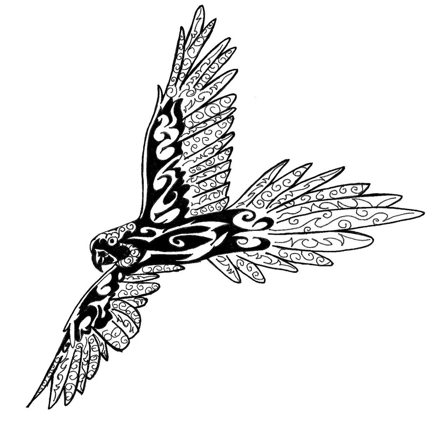 Flying Parrot Drawing | Free download on ClipArtMag