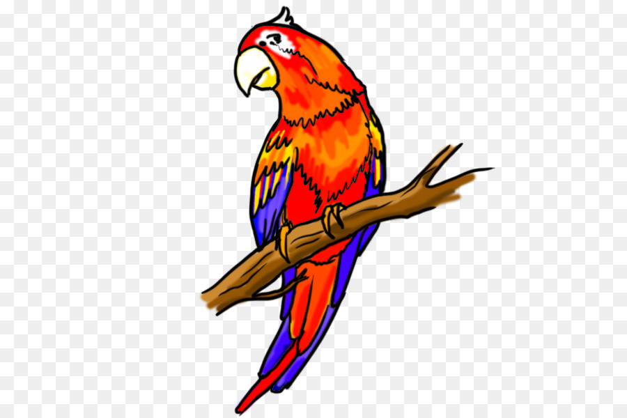 Flying Parrot Drawing | Free download on ClipArtMag