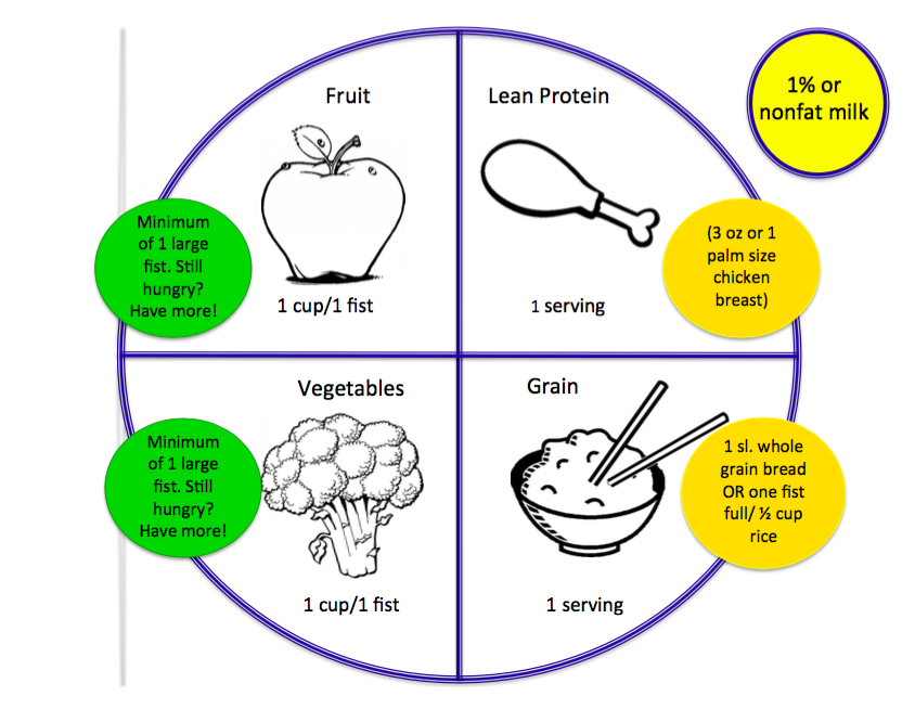 Food Pyramid Drawing | Free download on ClipArtMag