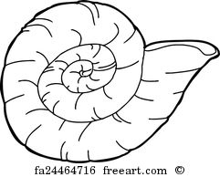 Fossil Drawing | Free download on ClipArtMag