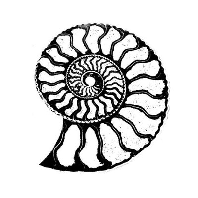 Fossil Drawing | Free download on ClipArtMag