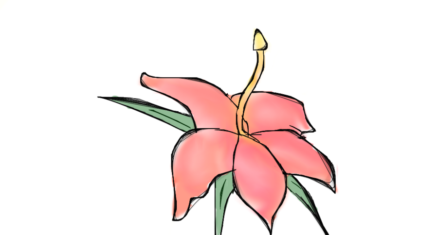 Free Flower Drawings | Free download on ClipArtMag