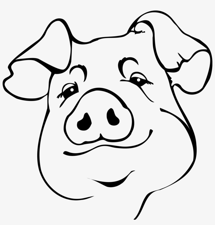 Creative How To Draw A Pig Sketch with Pencil