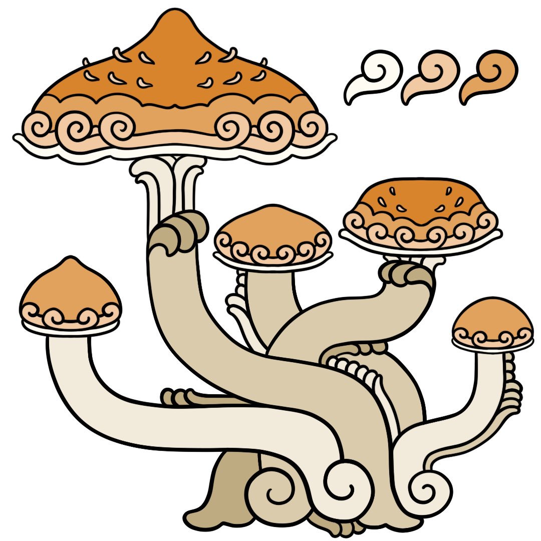 Fungi Drawing | Free download on ClipArtMag