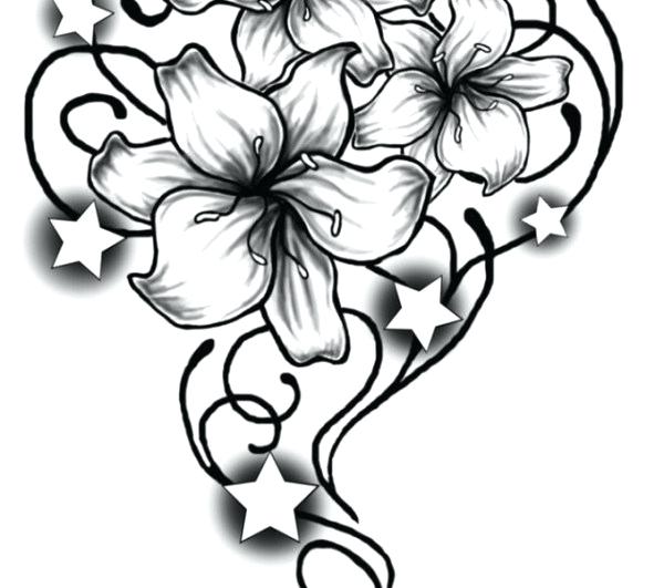 Gardenia Drawing | Free download on ClipArtMag