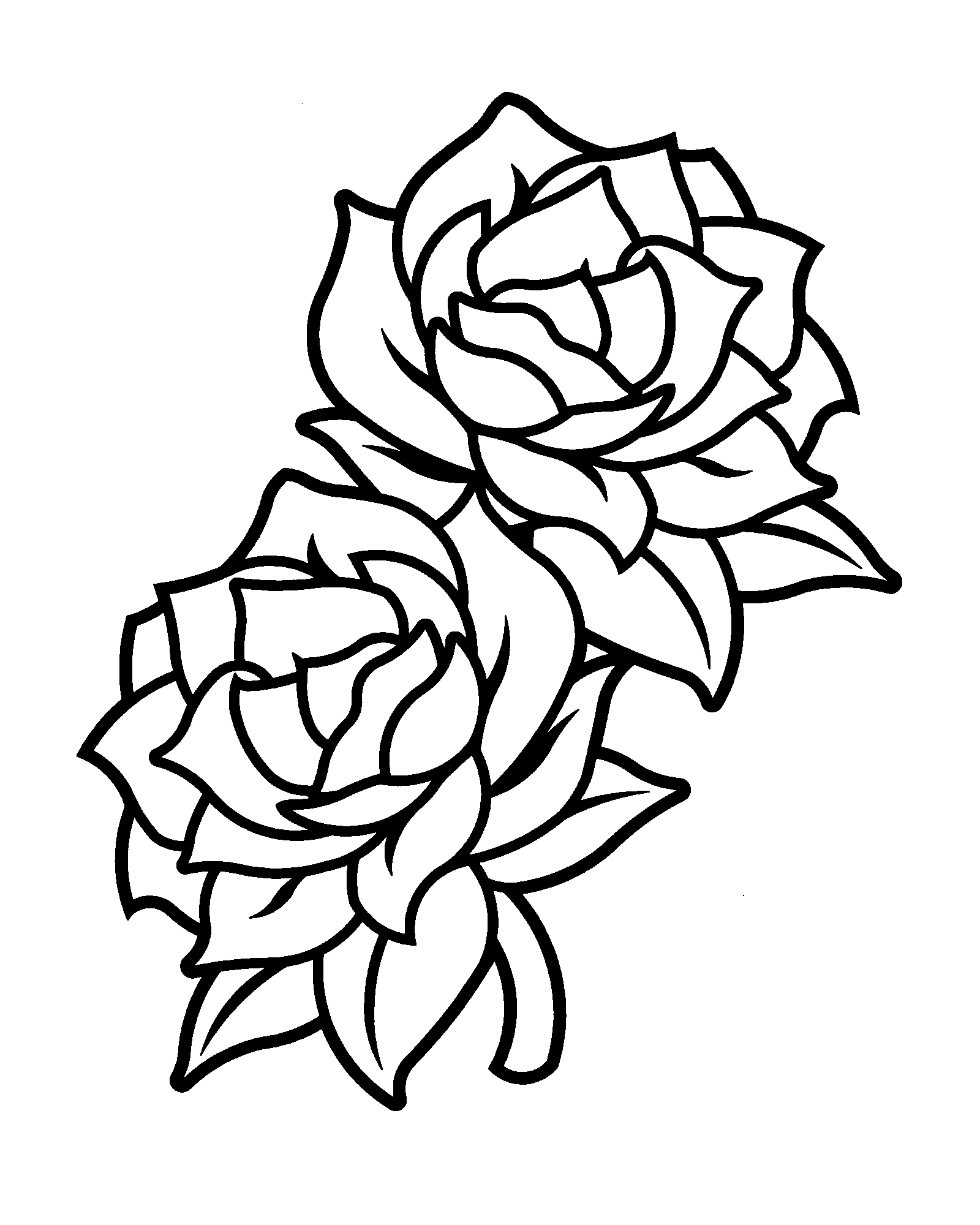 Gardenia Drawing | Free download on ClipArtMag