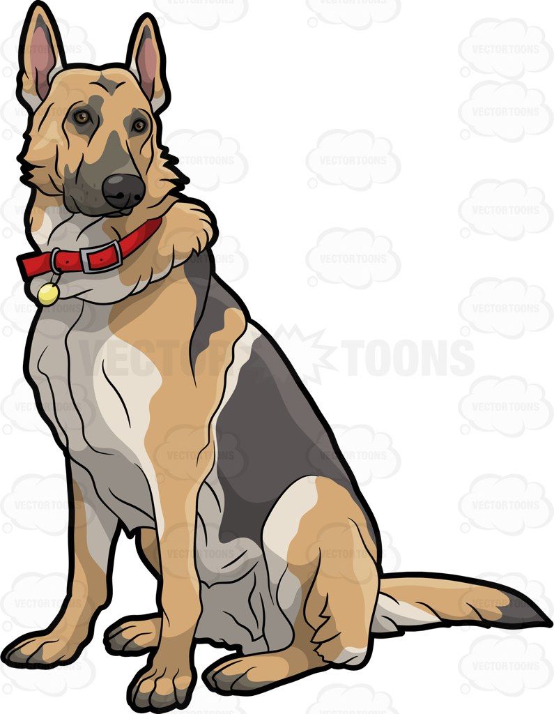 German Shepherd Drawing | Free download on ClipArtMag