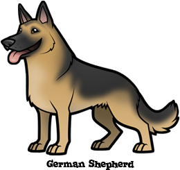 German Shepherd Puppy Drawing | Free download on ClipArtMag