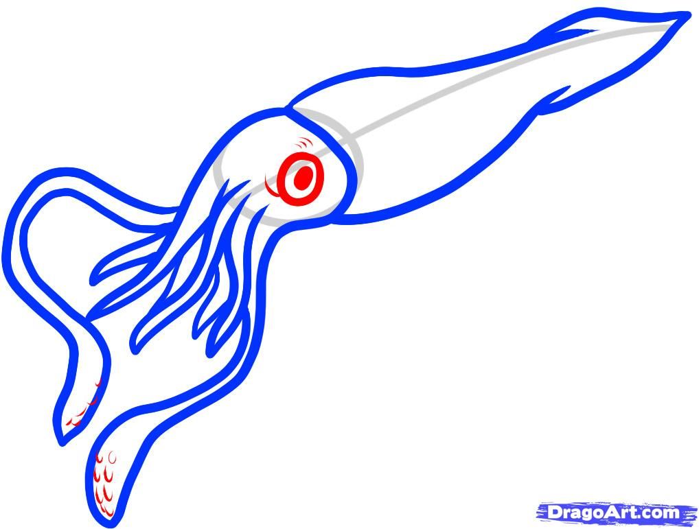 Giant Squid Drawing | Free download on ClipArtMag