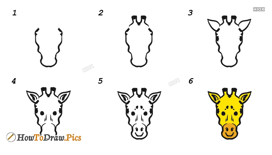 Giraffe Head Drawing | Free download on ClipArtMag