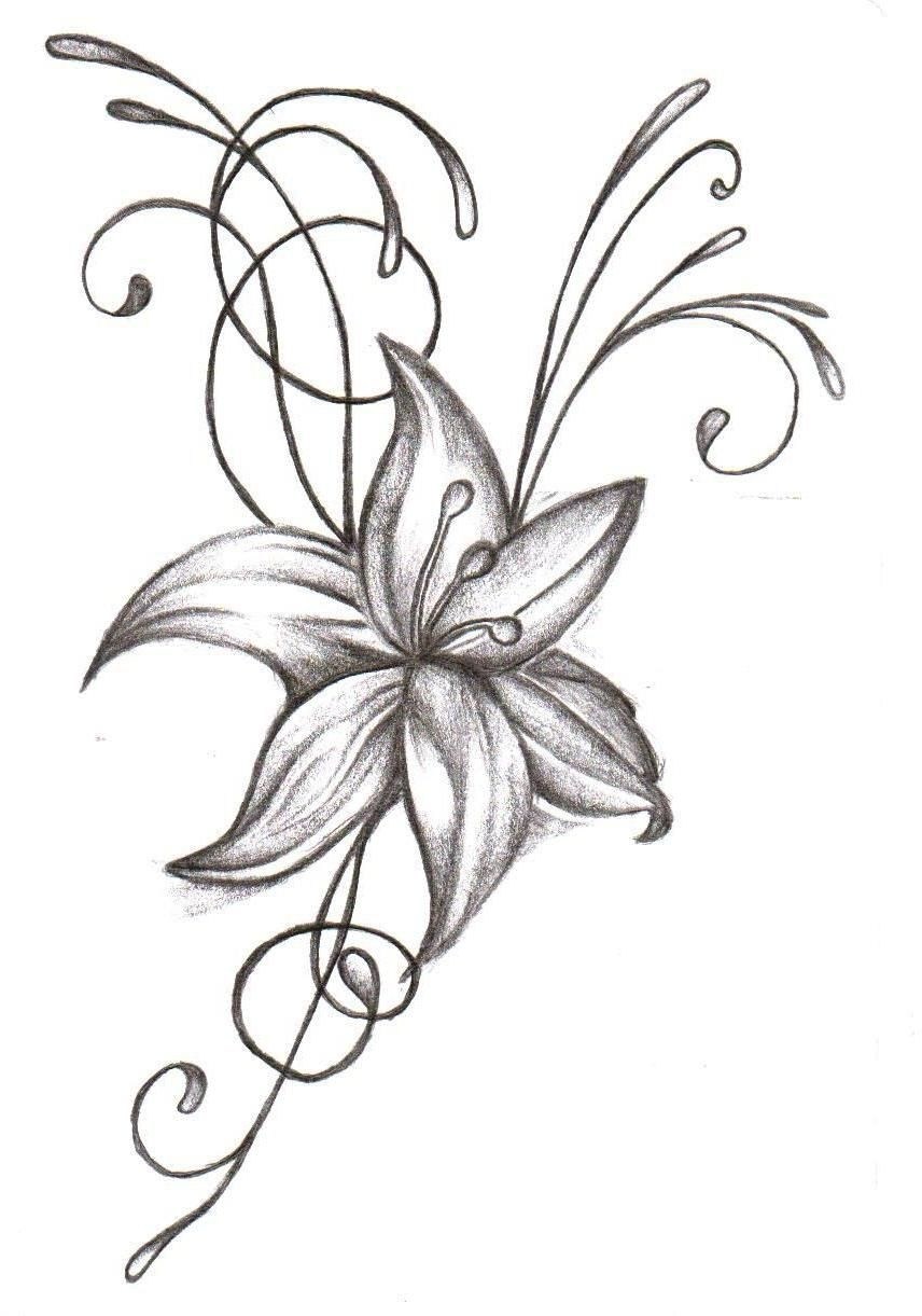 Gladiolus Drawing | Free download on ClipArtMag