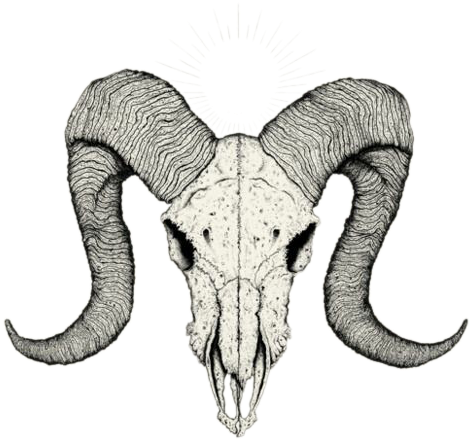 Goat Skull Drawing | Free download on ClipArtMag