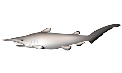 Goblin Shark Drawing | Free download on ClipArtMag