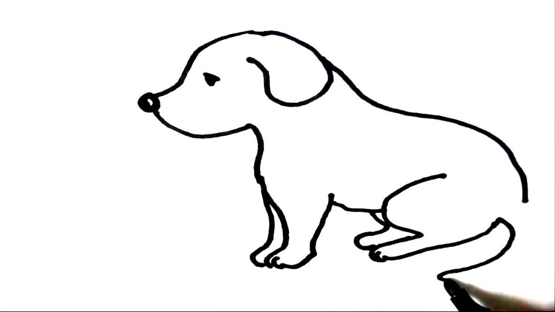 10+ Best For Golden Retriever Face Drawing Easy | The Japingape