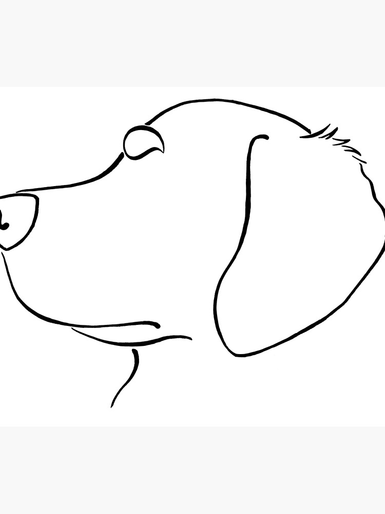 Golden Retriever Line Drawing | Free download on ClipArtMag