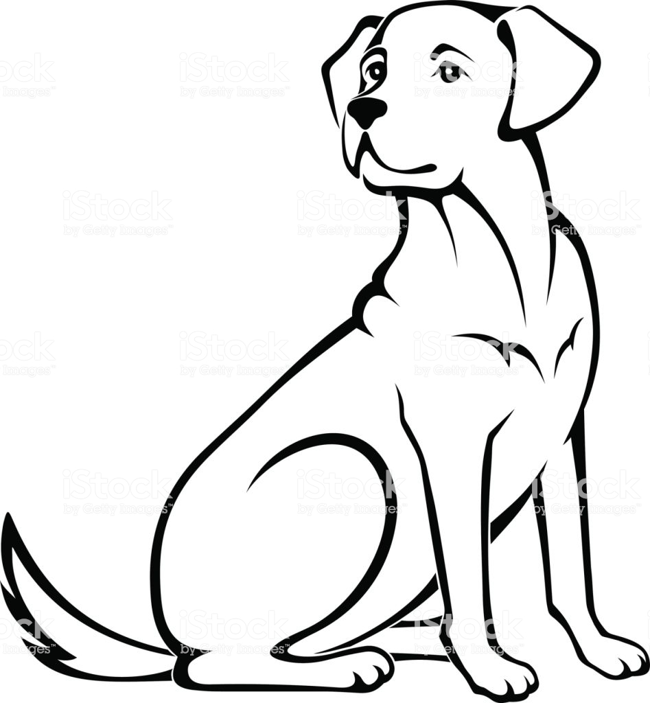Golden Retriever Line Drawing Free download on ClipArtMag