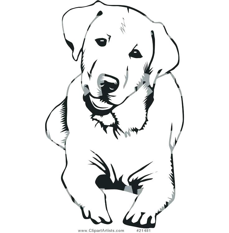 Golden Retriever Line Drawing | Free download on ClipArtMag