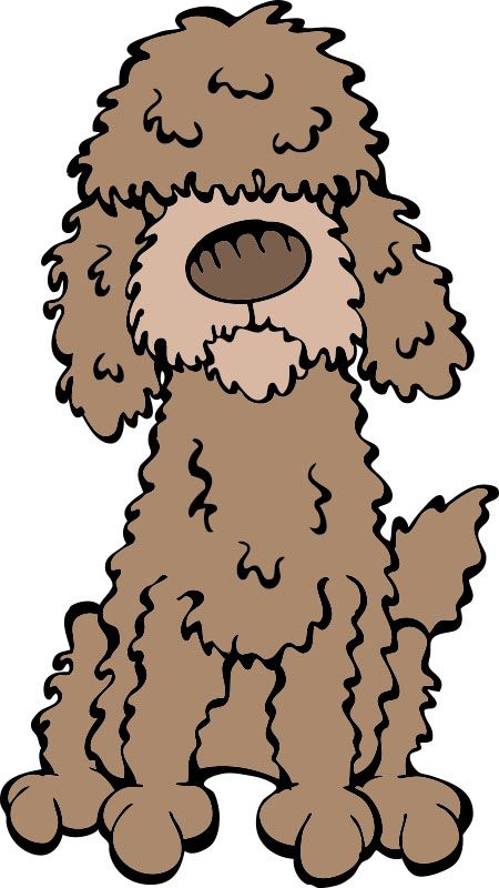 Goldendoodle Drawing Free Download On ClipArtMag