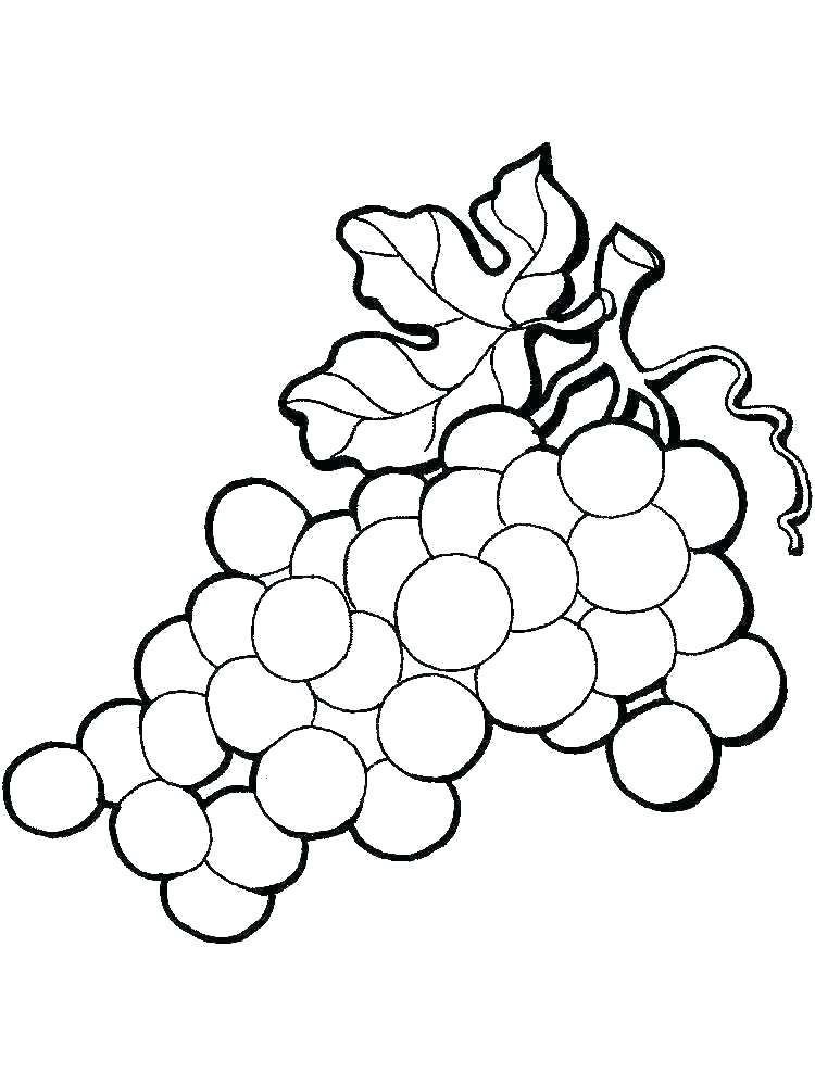 Grapes Leaves Drawing | Free download on ClipArtMag