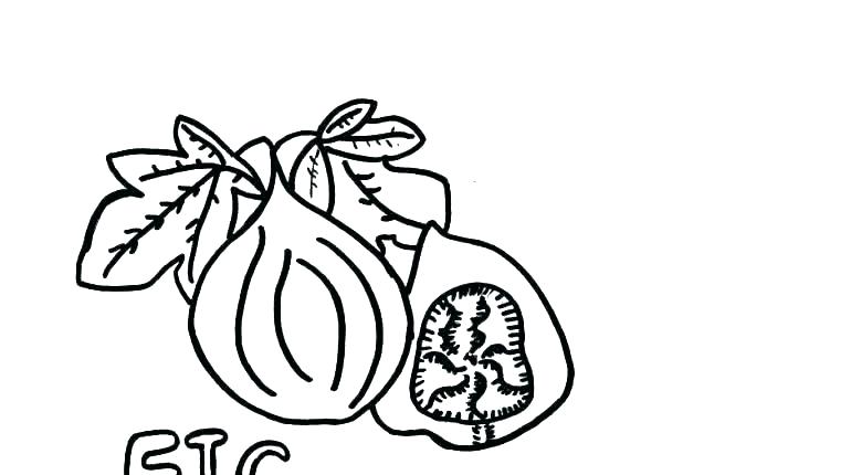 Green Bay Packers Drawings | Free download on ClipArtMag