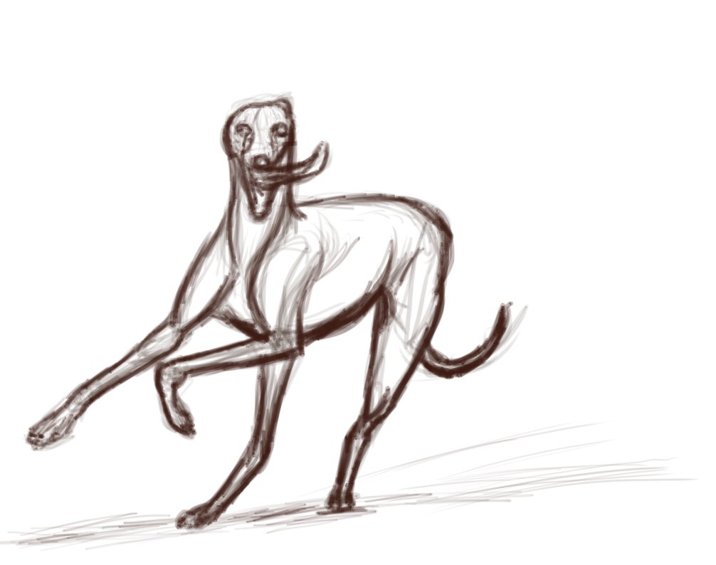 Greyhound Drawing | Free download on ClipArtMag