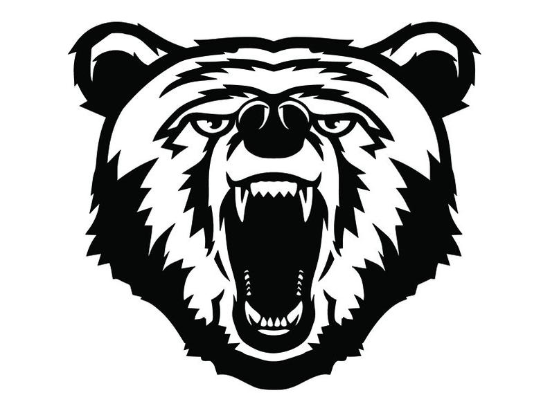Grizzly Bear Face Drawing | Free download on ClipArtMag