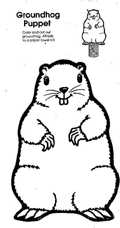 Groundhog Line Drawing | Free download on ClipArtMag