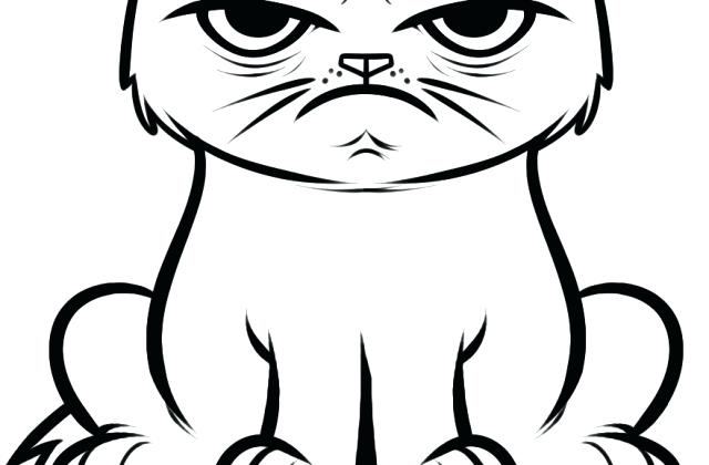Collection of Grumpy cat clipart | Free download best Grumpy cat