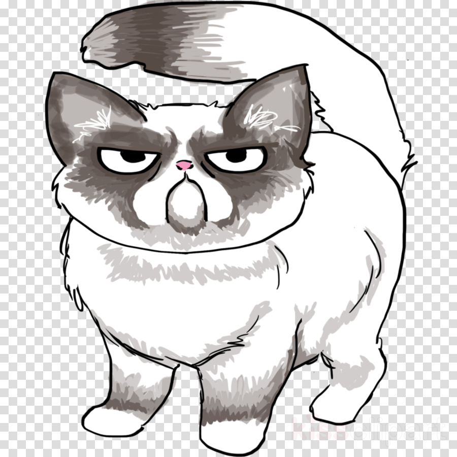 Collection of Grumpy cat clipart | Free download best Grumpy cat