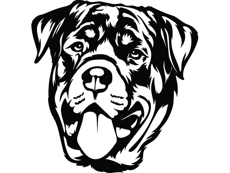 Collection of Rottweiler clipart | Free download best Rottweiler