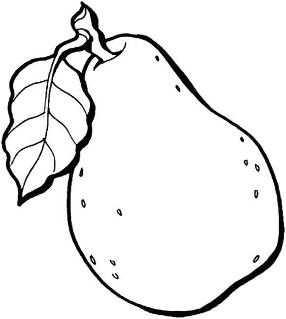 Guava Drawing | Free download on ClipArtMag