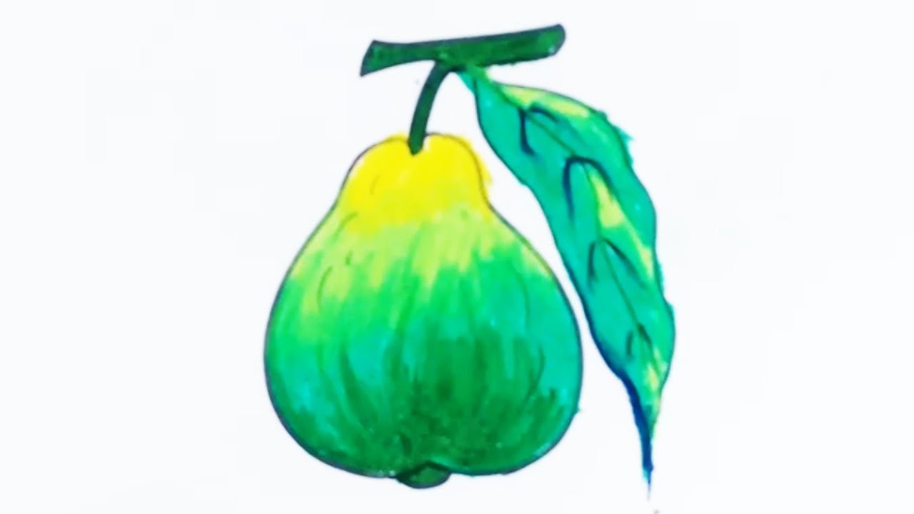 Guava Drawing | Free download on ClipArtMag