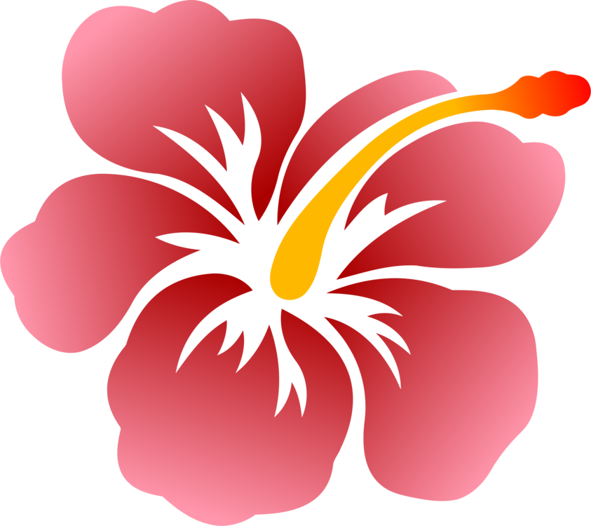 Hawaiian Hibiscus Drawing Free Download On Clipartmag