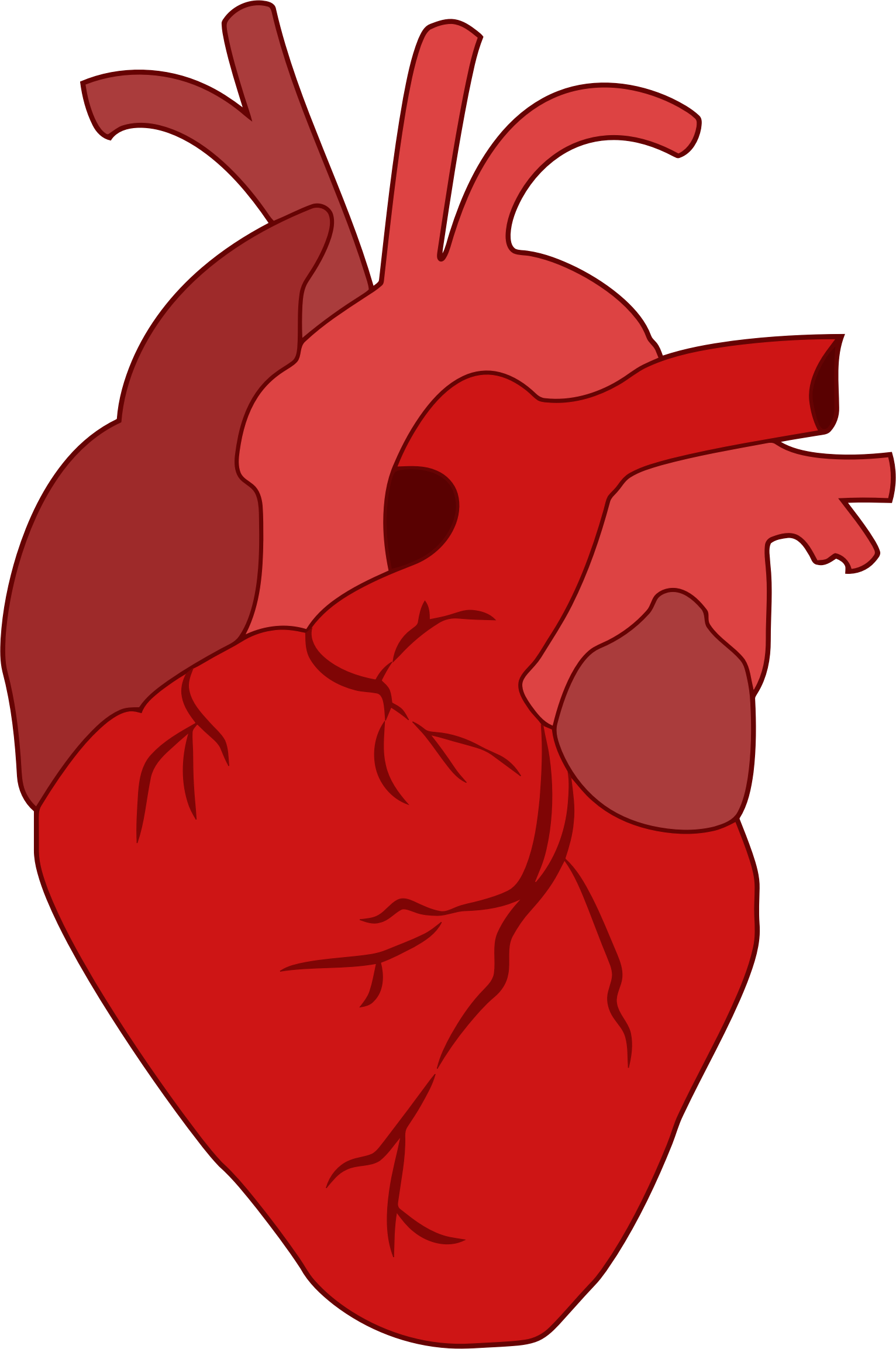 Heart Shape Drawing Free download on ClipArtMag