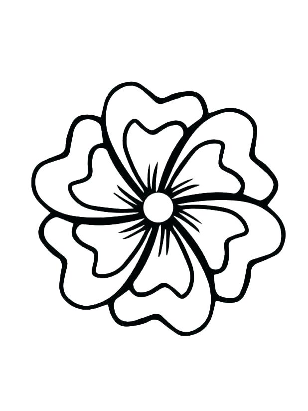 Hibiscus Flower Line Drawing | Free download on ClipArtMag
