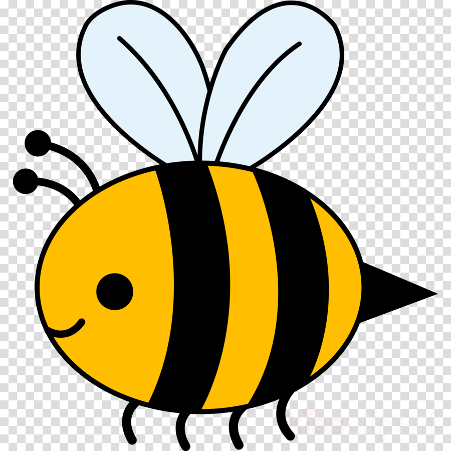 Honey Bee Drawing Clip Art Free download on ClipArtMag
