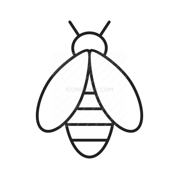 Honey Bee Line Drawing | Free download on ClipArtMag