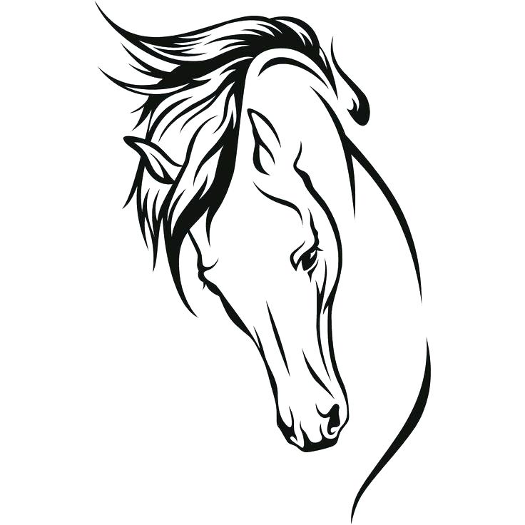 Horse Face Drawing | Free download on ClipArtMag