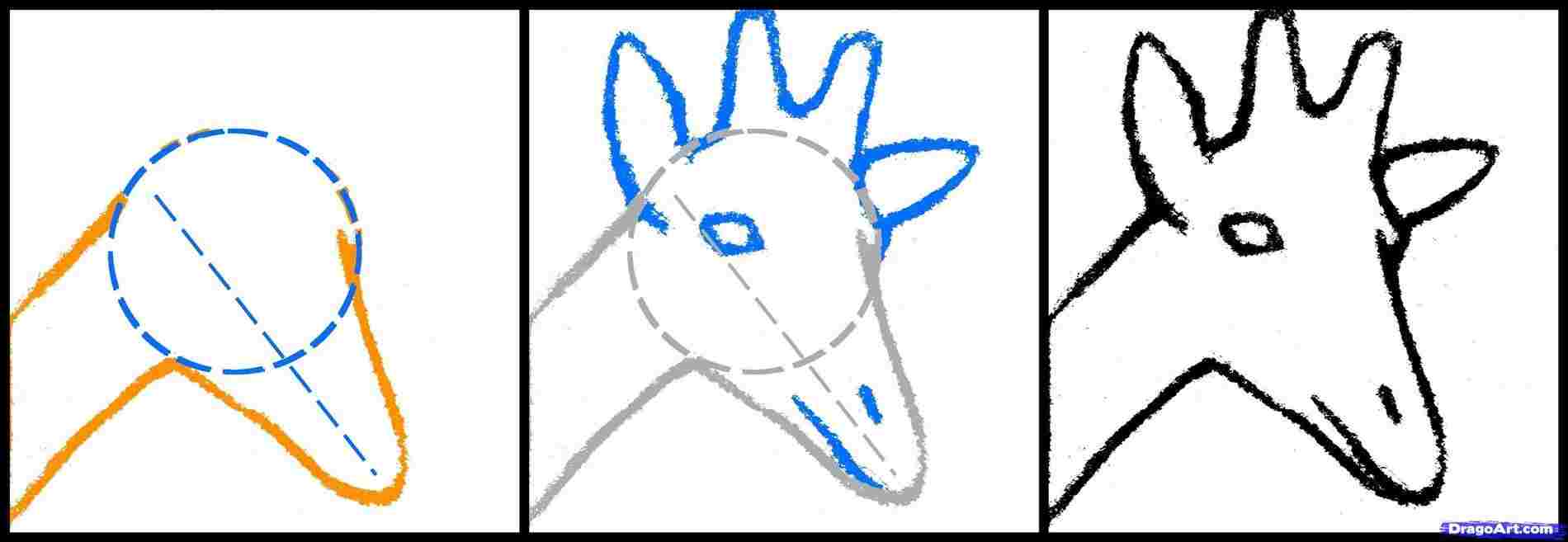 Horse Head Drawing Step By Step | Free download on ClipArtMag