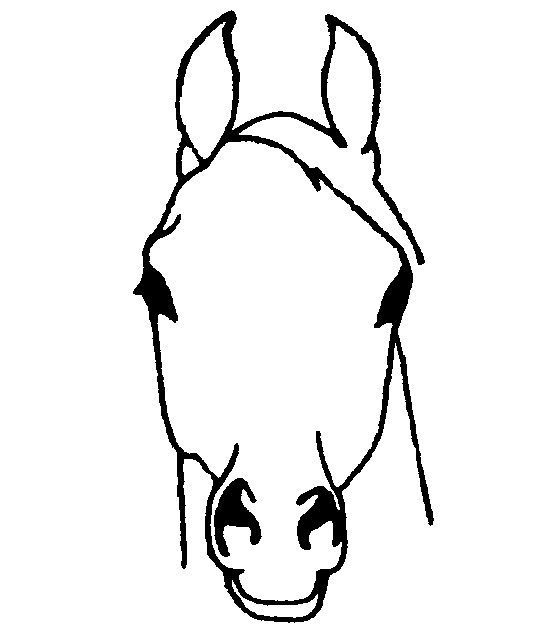 Horse Head Front View Drawing | Free download on ClipArtMag