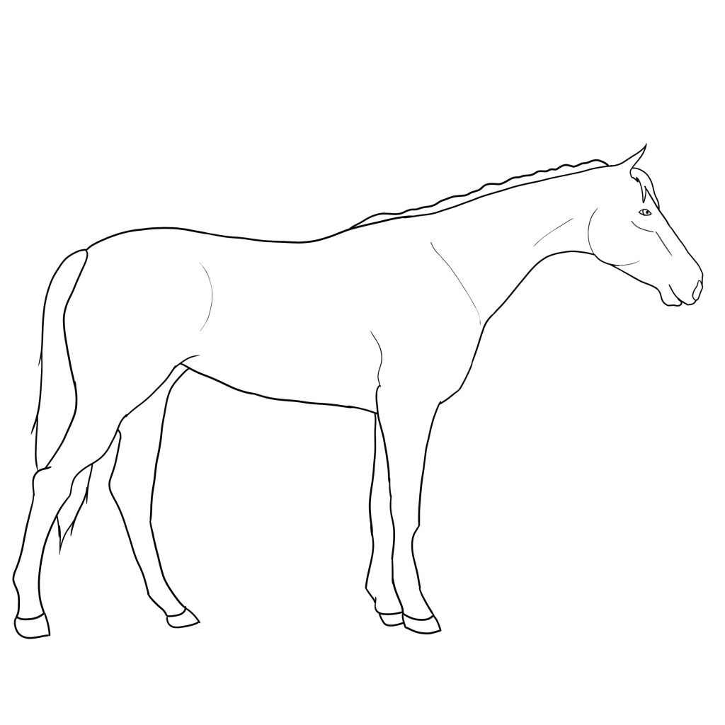 Horse Line Drawing | Free download on ClipArtMag