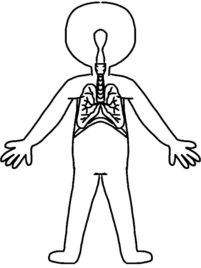 Human Body Line Drawing | Free download on ClipArtMag