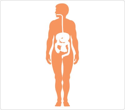 medical human body outline drawing