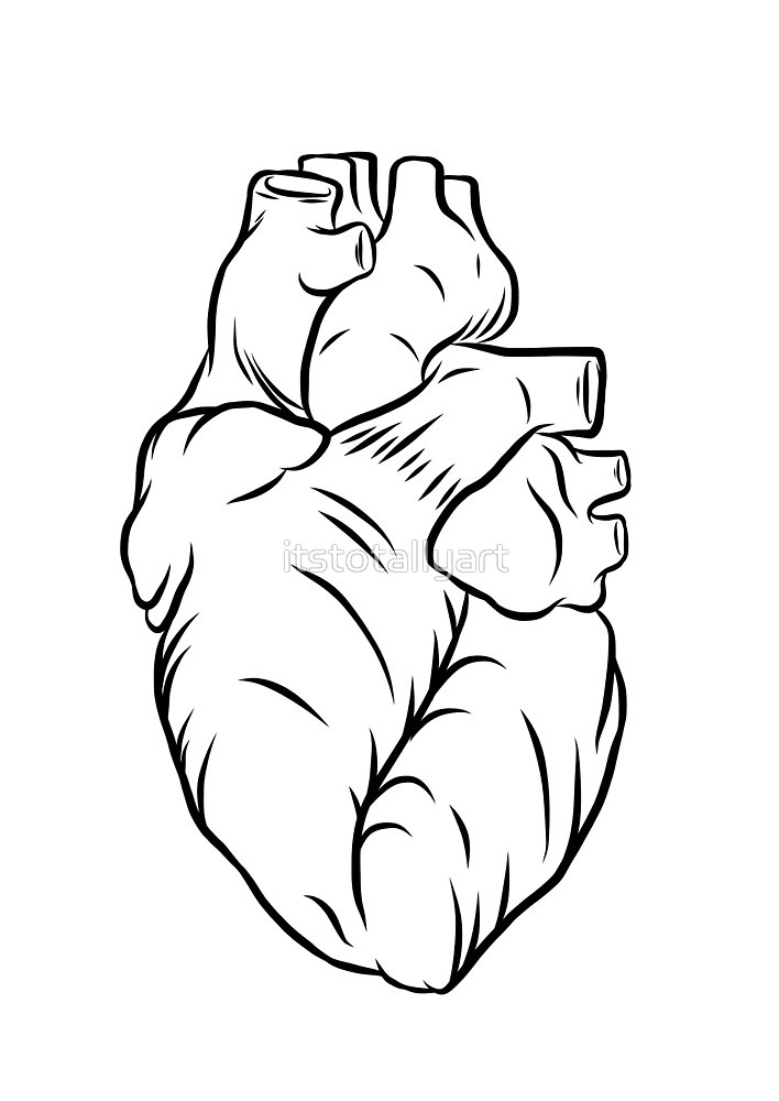 Human Heart Drawing Outline | Free download on ClipArtMag