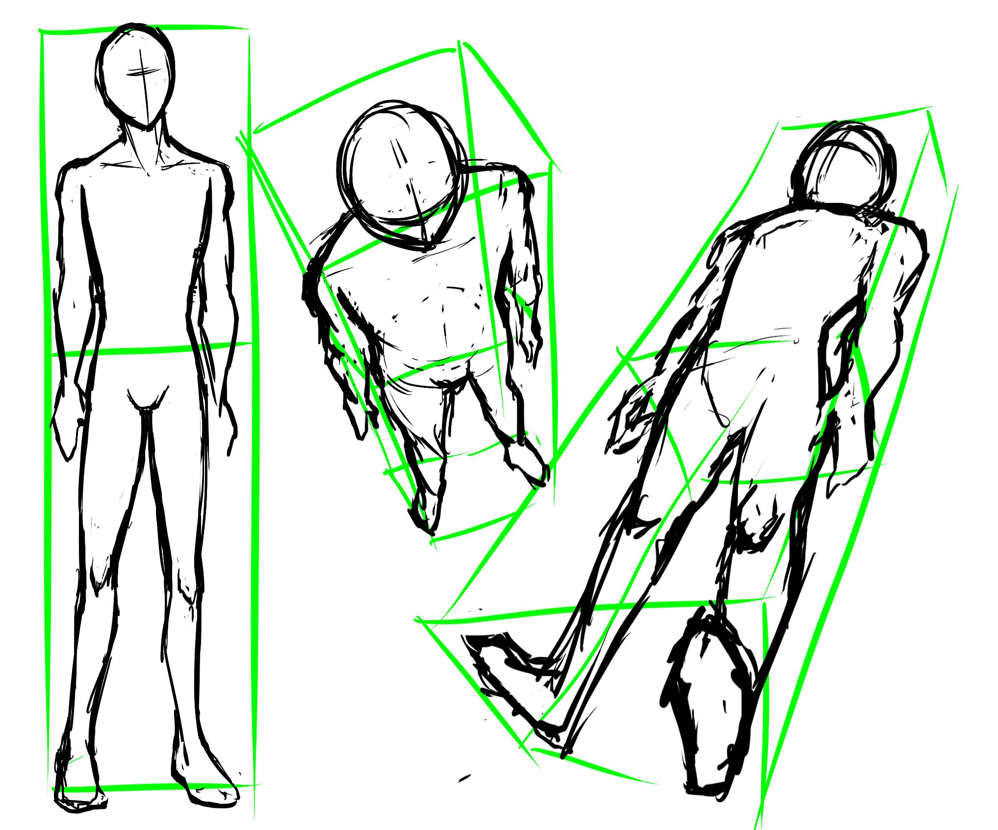 Human Perspective Drawing | Free download on ClipArtMag