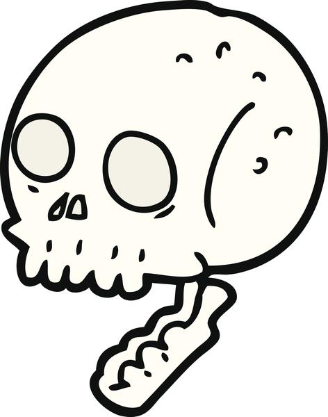 human skull line drawing