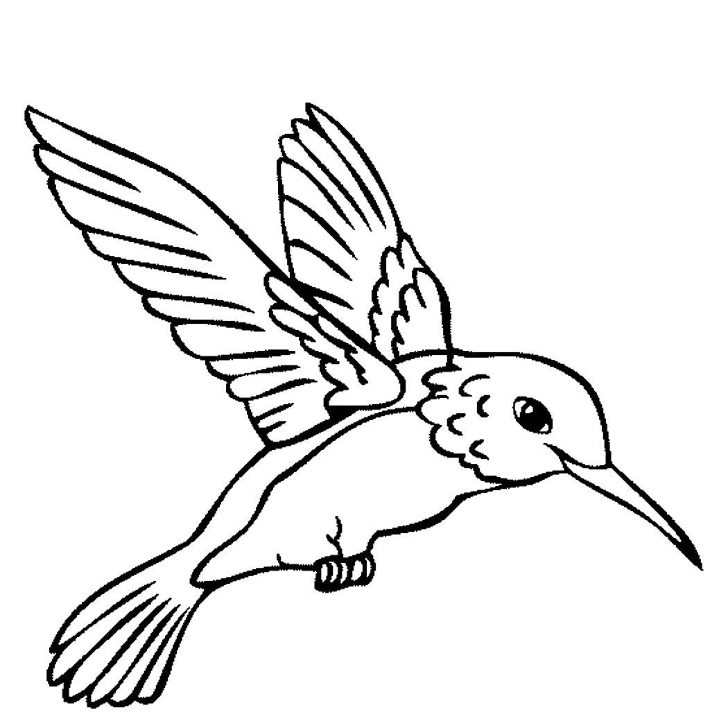 Hummingbird Drawing Step By Step | Free download on ClipArtMag