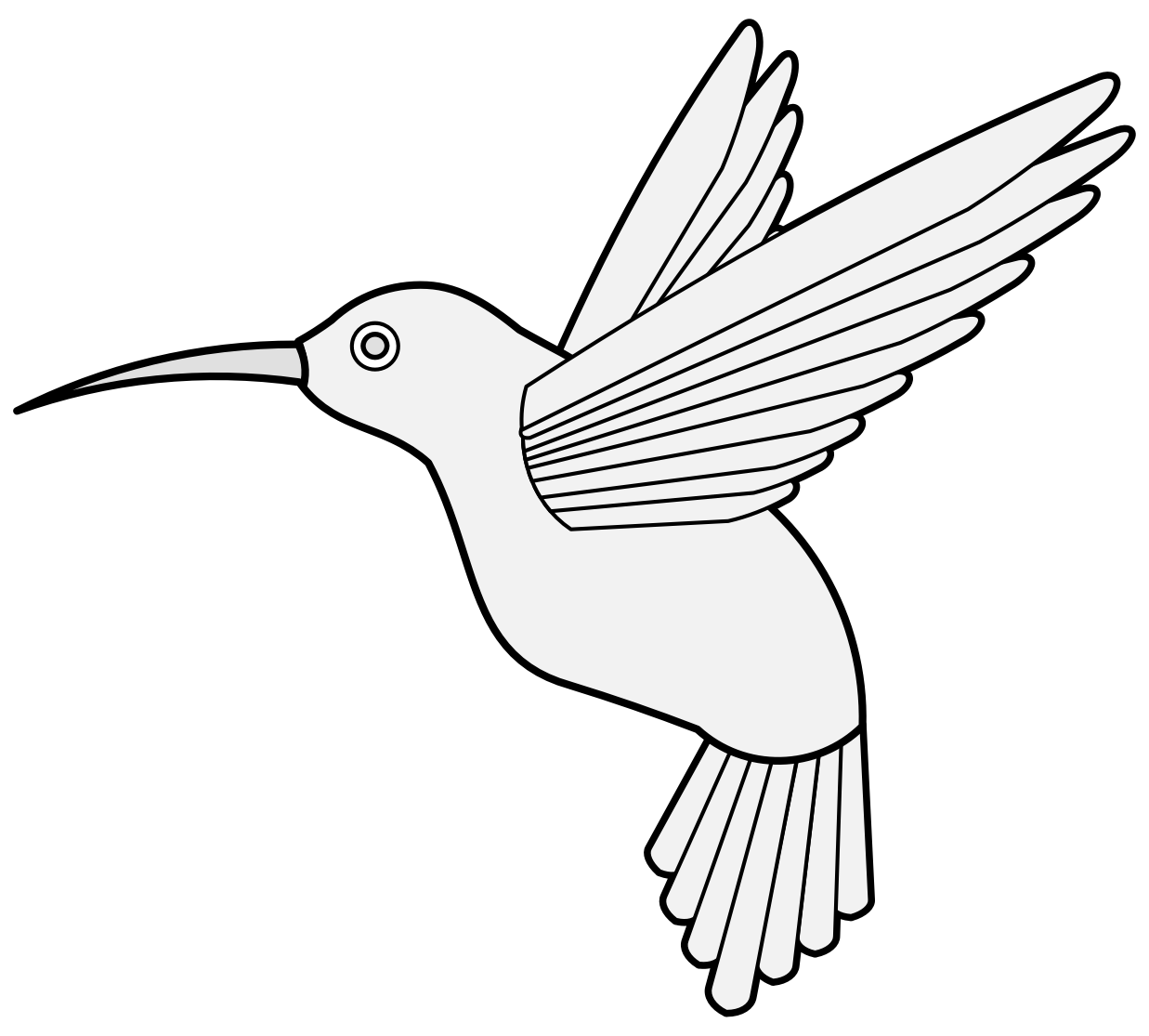 Hummingbird Line Drawing Free download on ClipArtMag